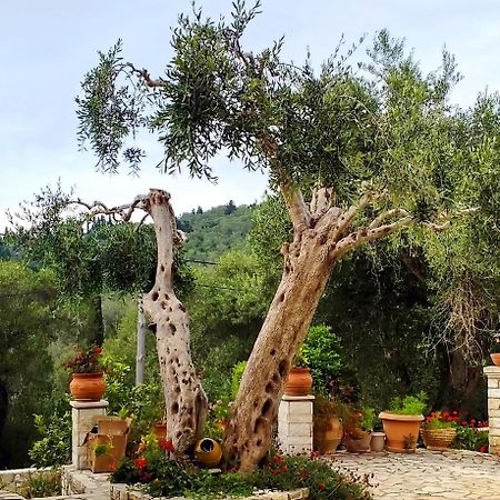 Villa Raxi Fountana Exterior photo