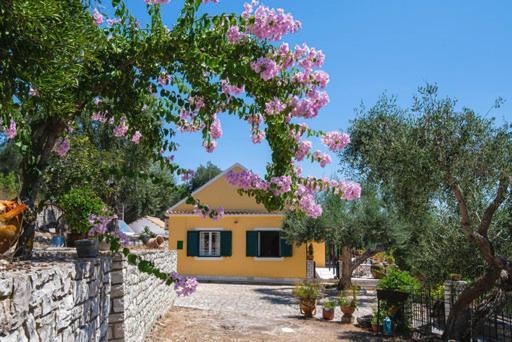 Villa Raxi Fountana Exterior photo